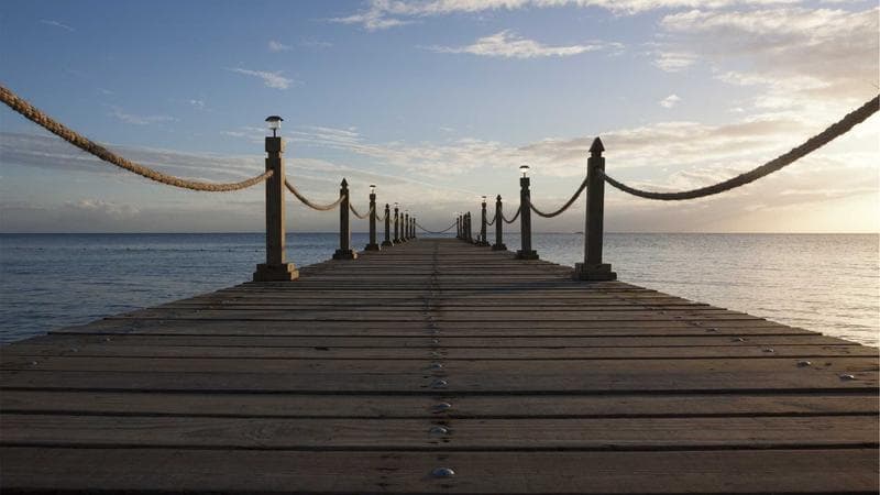 The Complete Web Development Bootcamp